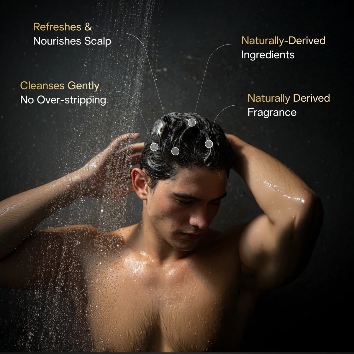 Based Bodyworks Shampoo (355 ml / 12 fl oz)